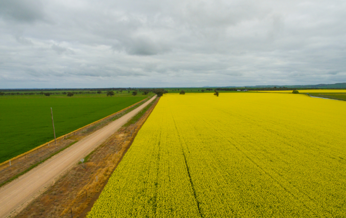 New Federal Biofuels Program Levels Playing Field for Canadian Producers and Farmers