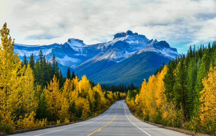 A Stronger Domestic Biofuels Industry Benefits Canada's Economy, Environment and National Security