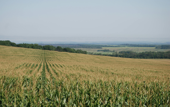 Advanced Biofuels Canada Comments on Affordability, Energy Security Benefits of Low Carbon Fuels