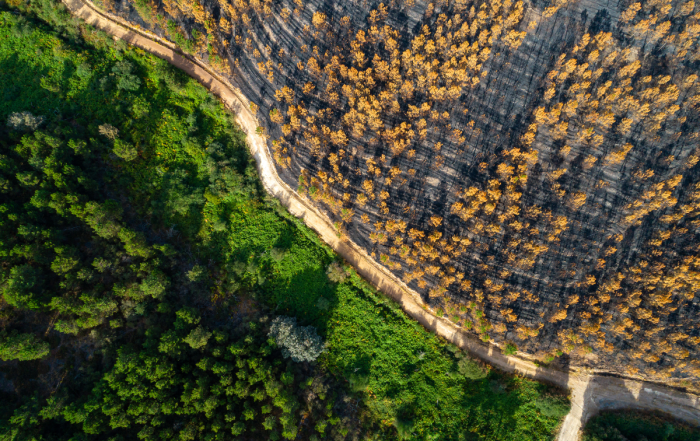 Advanced Biofuels Canada Announces Federal Support for Clean Fuels Awareness Campaign
