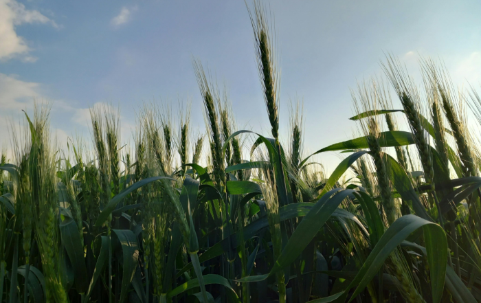 Advanced Biofuels Canada Association Welcomes Industry Leaders to its Growing Membership